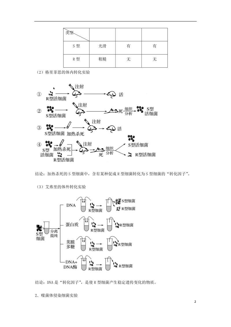 （全国通用）2018年高考生物总复习《dna是主要的遗传物质》专题突破学案.doc_第2页