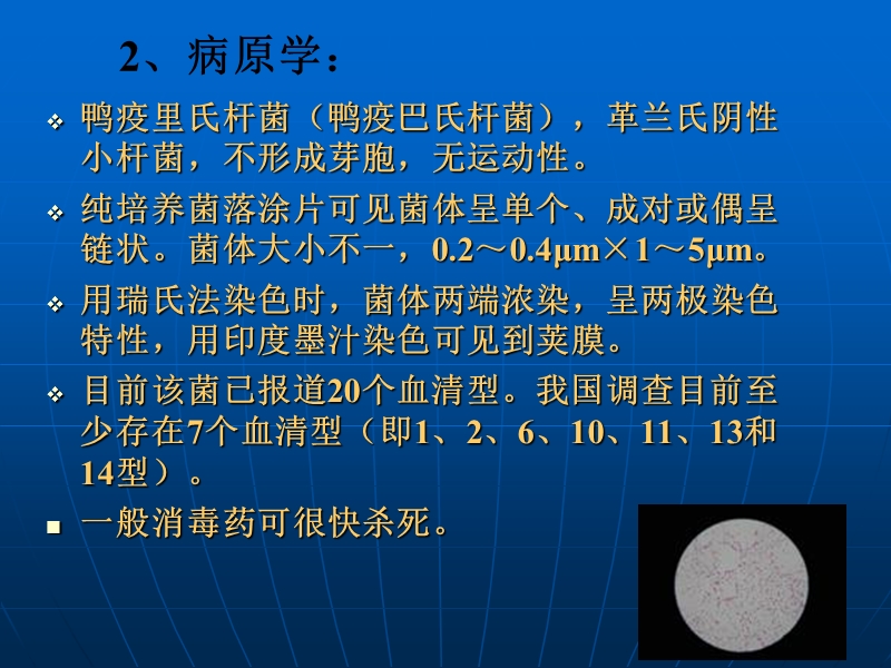 42 鸭传染性浆膜炎ppt - 海南职业技术学院精品课程建设.ppt_第3页