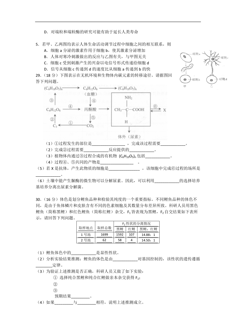 2013高考百天仿真冲刺卷(理综生物试卷) （九）.doc_第2页