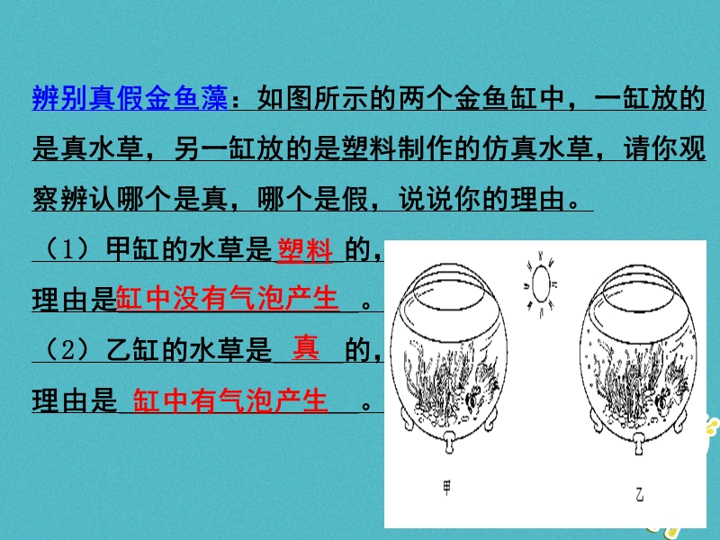 陕西省石泉县七年级生物上册 3.5.2绿色植物的呼吸作用课件1 （新版）新人教版.ppt_第2页