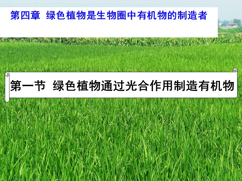 广东省汕头市七年级生物上册 3.4.1 绿色植物是生物圈中有机物的制造者课件 （新版）新人教版.ppt_第1页