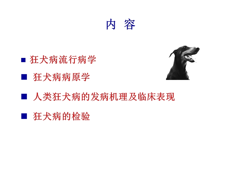 狂犬病毒及其检验.ppt_第3页