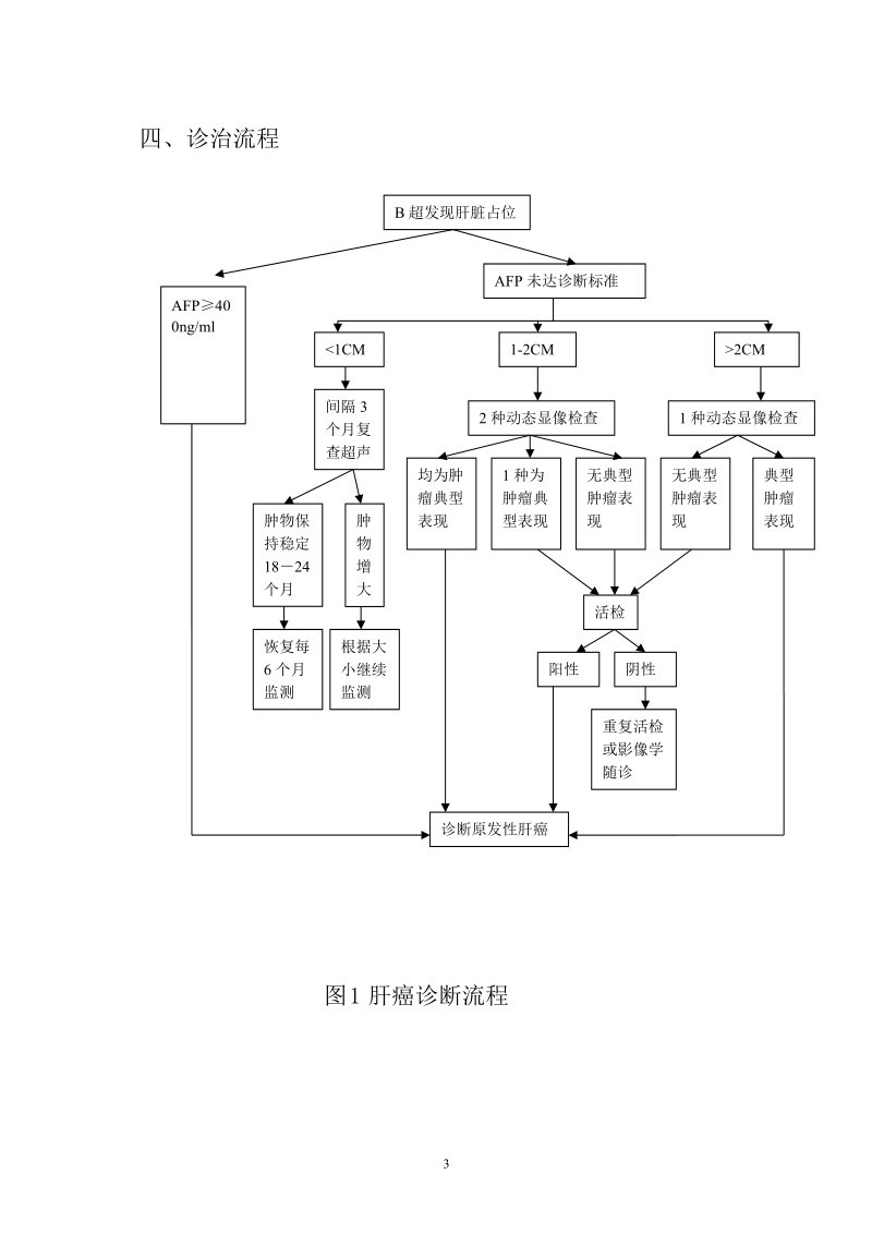 肝癌规范化诊治指南.doc_第3页