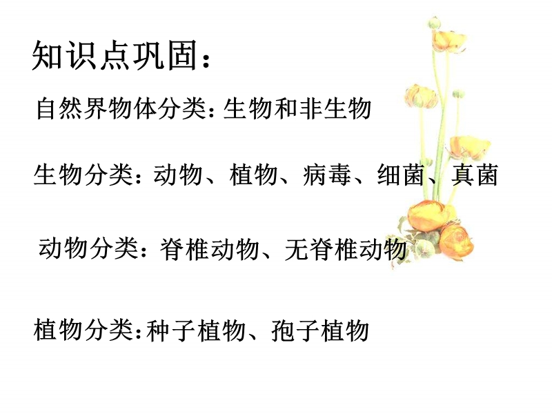 知识点巩固.ppt_第1页