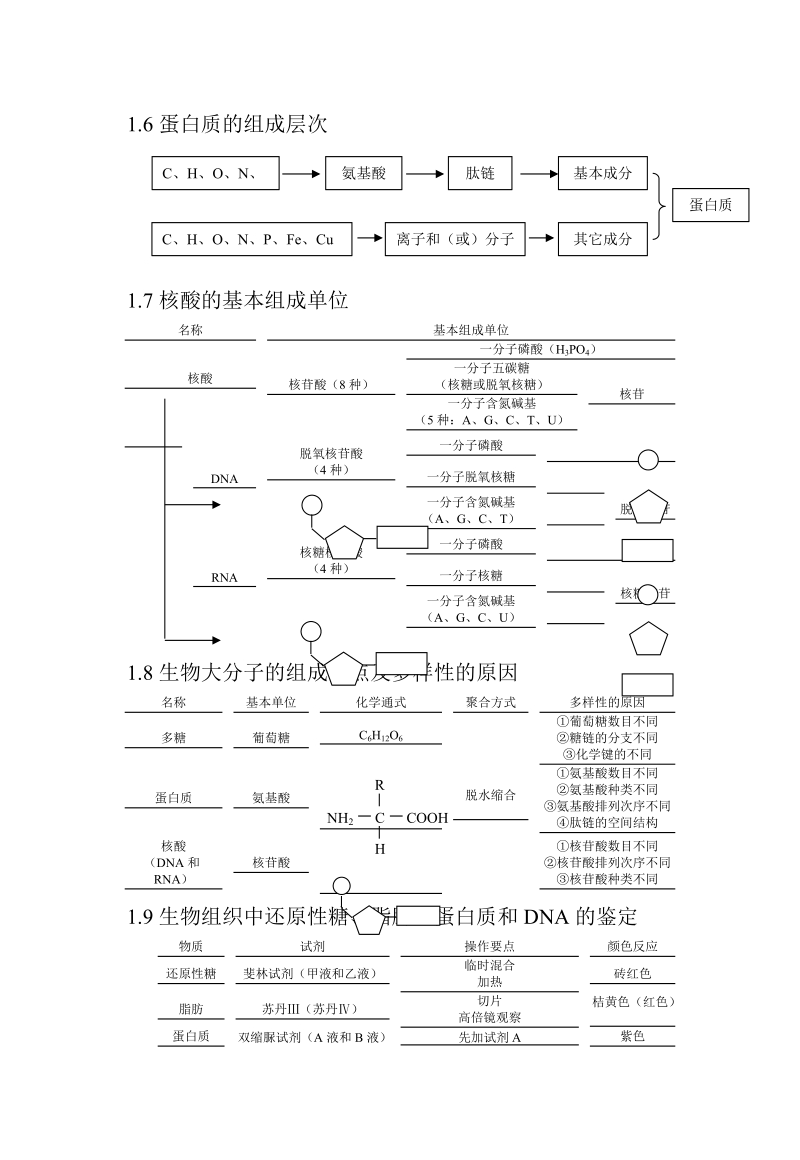 生物_高考生物知识结构网络_侧重知识梳理_86页.doc_第3页