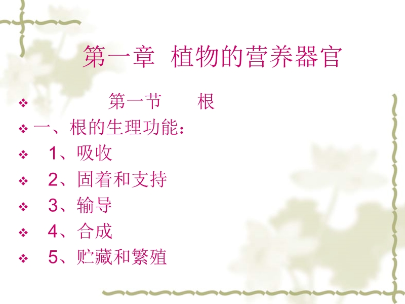 植物根13.ppt_第3页