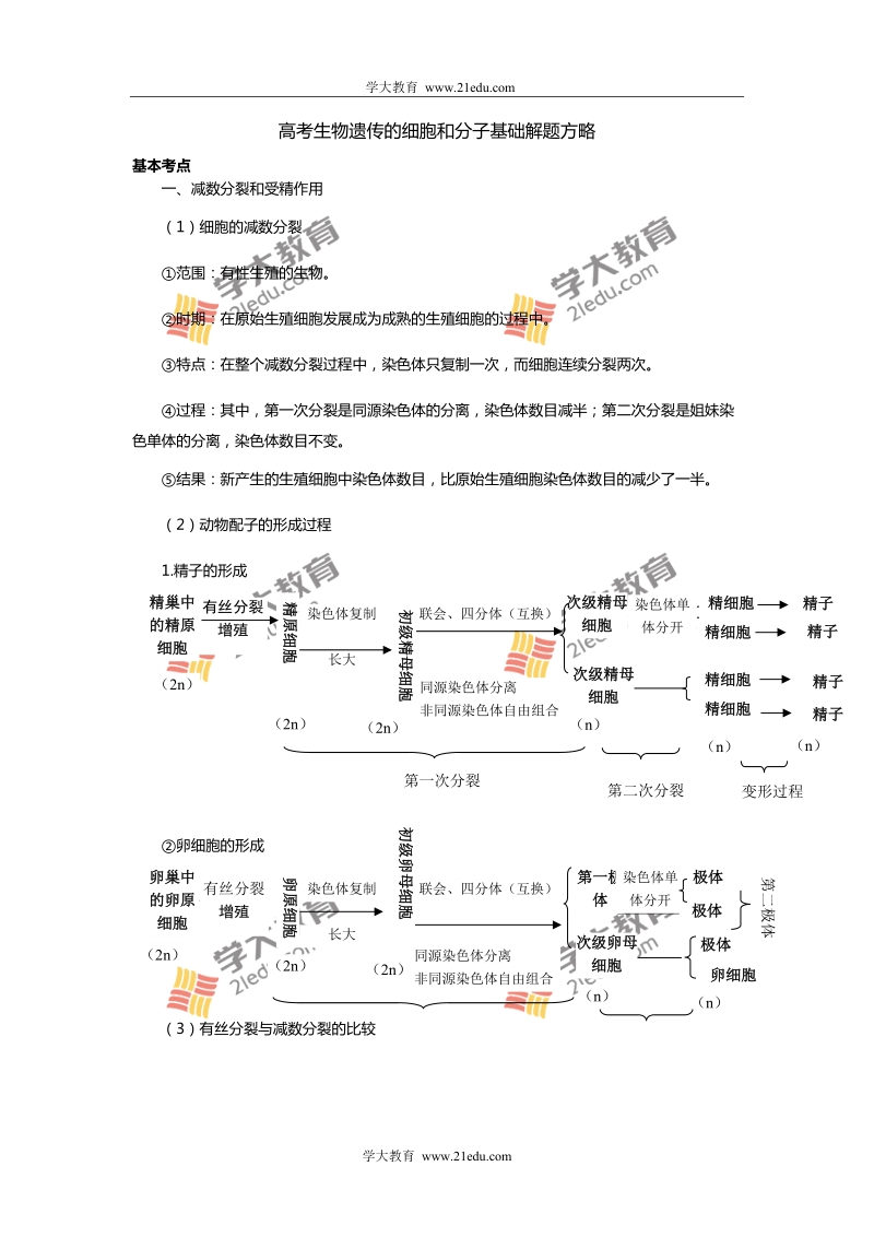 高考生物遗传的细胞和分子基础解题方略.doc_第1页