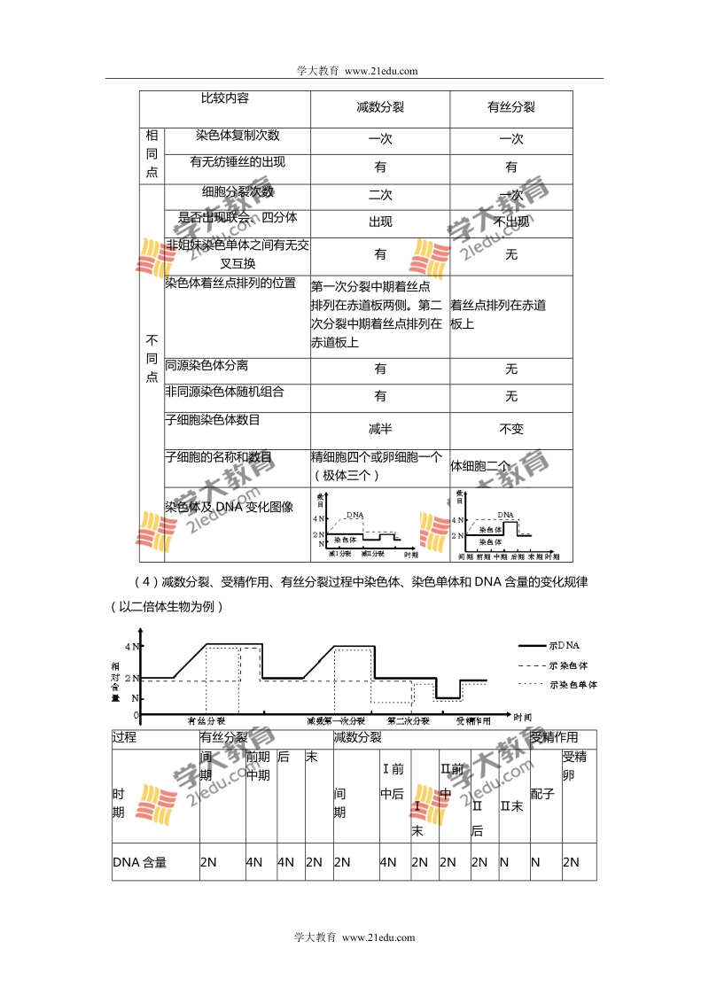 高考生物遗传的细胞和分子基础解题方略.doc_第2页