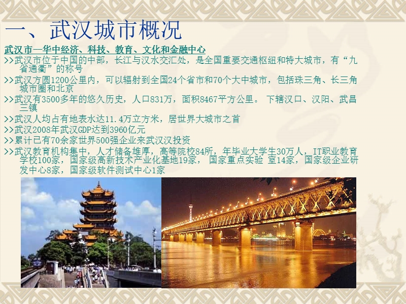 2010年7月武汉市江汉路商圈部分物业市调报告.ppt_第3页