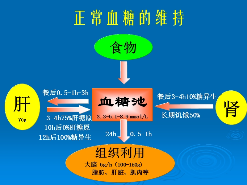 低血糖讲课--(2).ppt_第3页