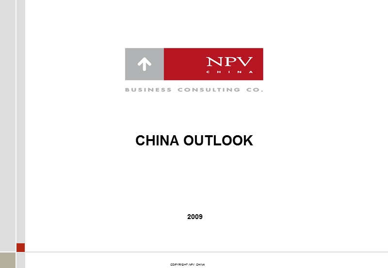 npv  china outlook 2009.ppt_第1页