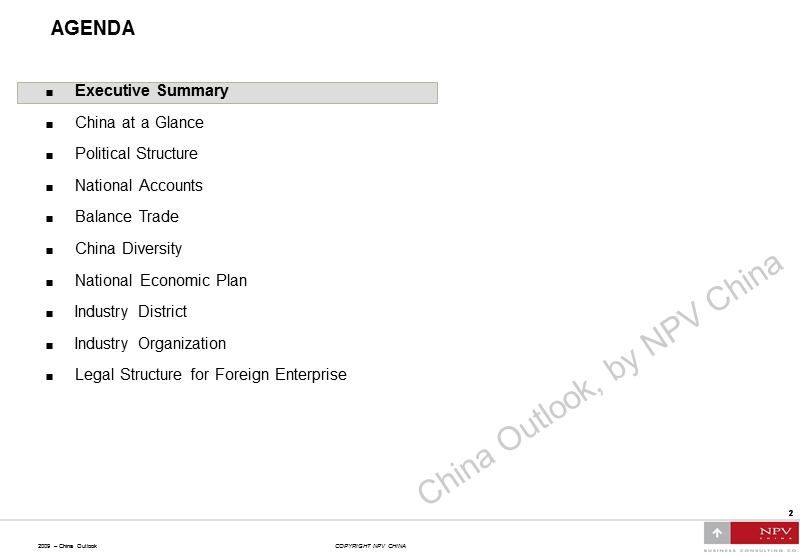 npv  china outlook 2009.ppt_第3页