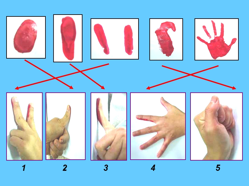 （苏少版2012）一年级美术下册课件 手指手印变变变 2.ppt_第3页