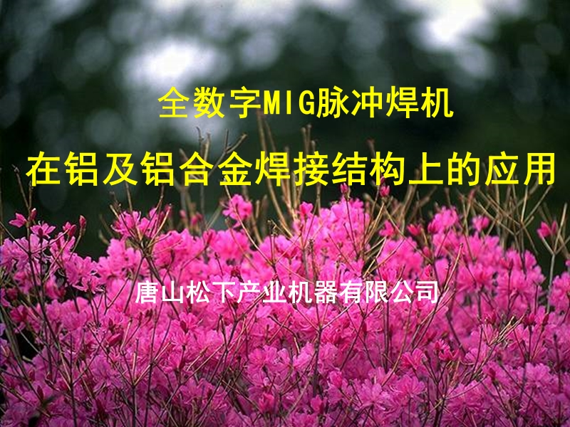 全数字mig脉冲焊机在铝及铝合金焊接结构上的应用.ppt_第1页