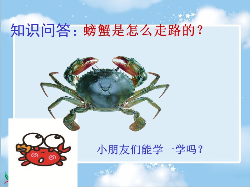 （苏少版2012）二年级美术上册课件 画画虾和蟹.ppt_第2页