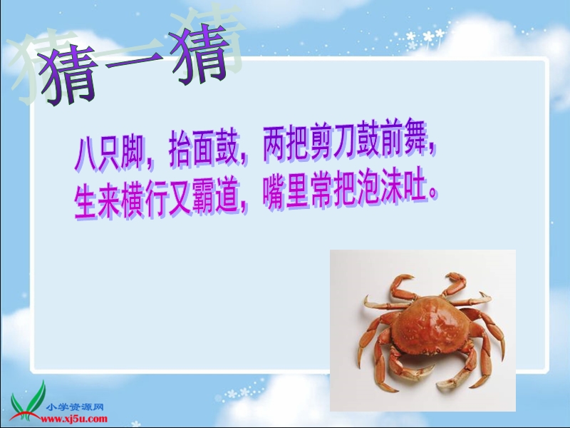 （苏少版2012）二年级美术上册课件 虾和蟹.ppt_第1页