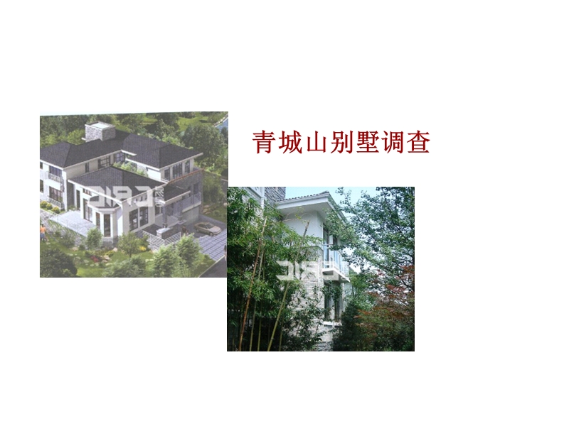 2010年青城山别墅调查.ppt_第1页