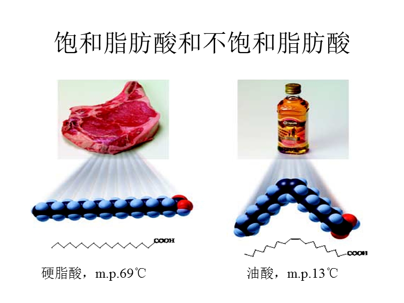 fh第一章重要的体内能源—油脂.ppt_第3页