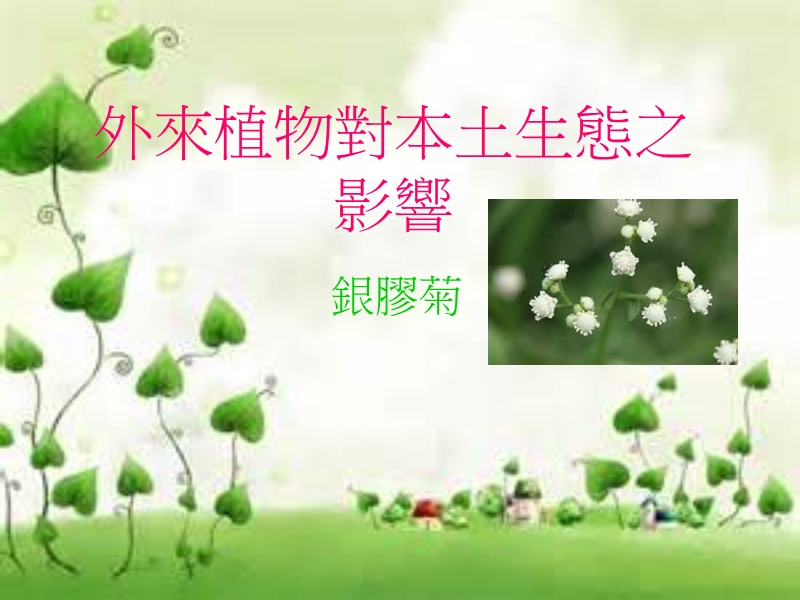 外来植物对本土生态之影响.ppt_第1页