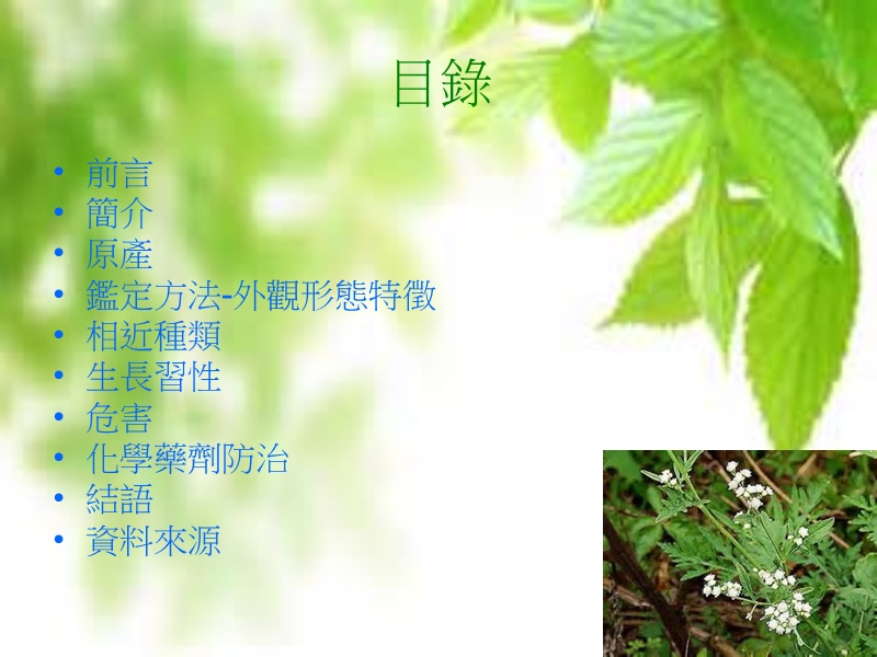 外来植物对本土生态之影响.ppt_第2页