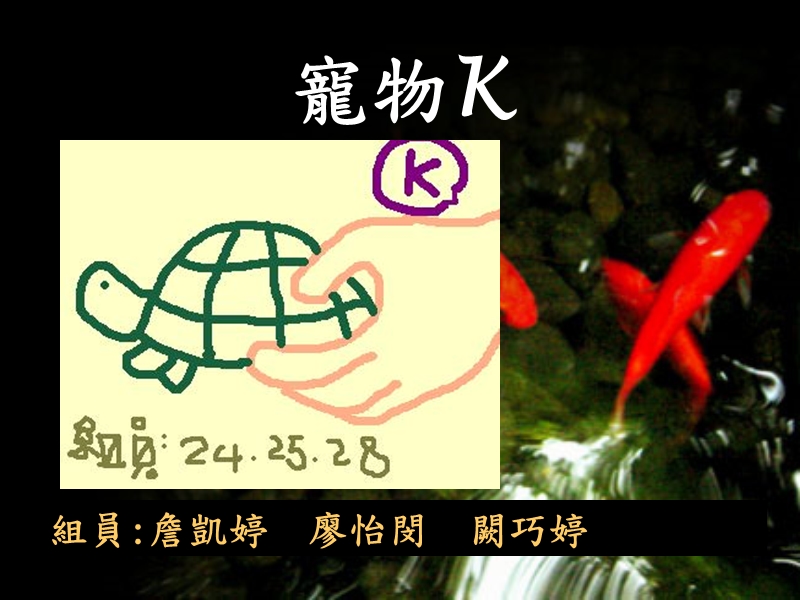 林燿德〈宠物k〉.ppt_第1页