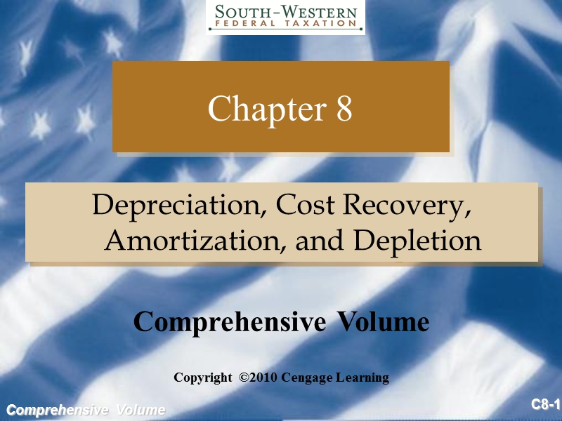 美国税法2010 depreciation, cost recovery, amortization, and depletion.ppt_第1页