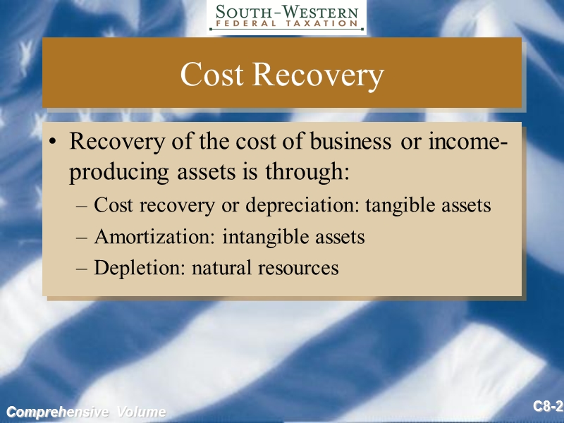 美国税法2010 depreciation, cost recovery, amortization, and depletion.ppt_第2页