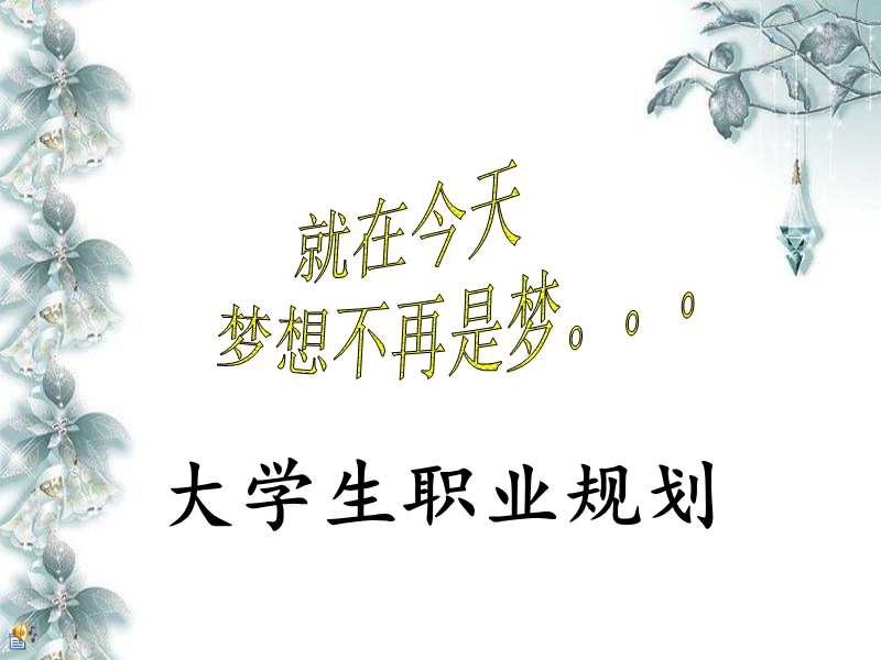 我的服装职业生涯规划.ppt_第1页