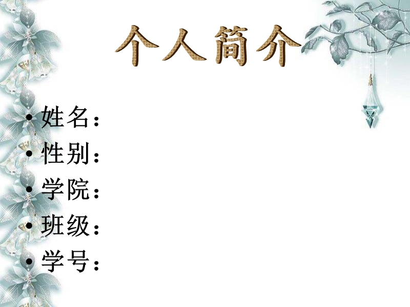 我的服装职业生涯规划.ppt_第2页