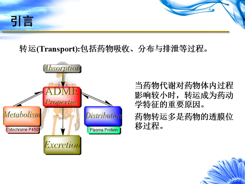 转运体与药物研究.ppt_第2页