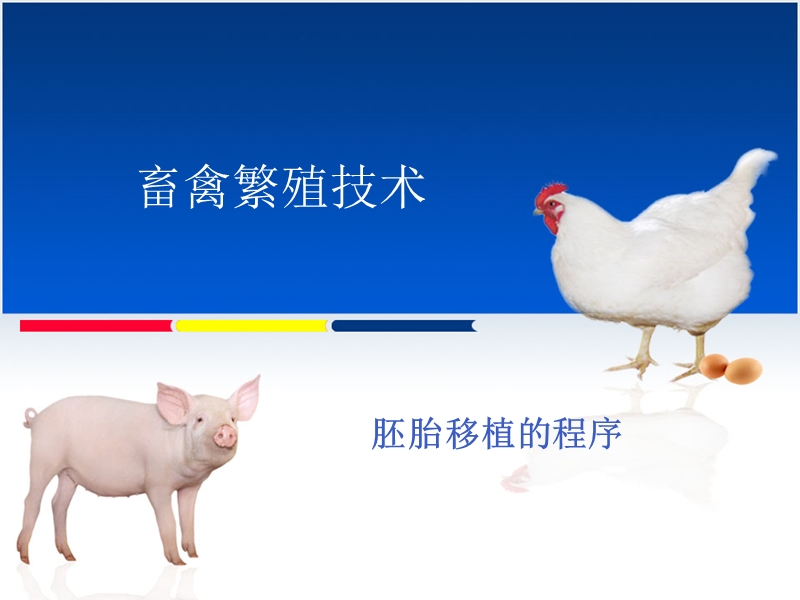 什么是胚胎保存.ppt_第1页