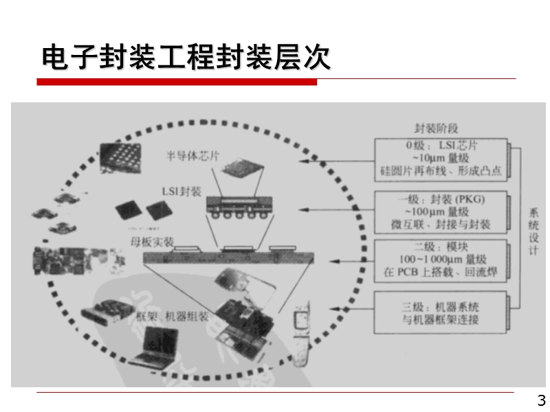 力学生物学骨与软骨研究的新途径-科学网—博客.ppt_第3页