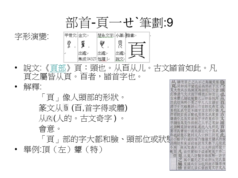 文字学下学期报告-部首.ppt_第3页