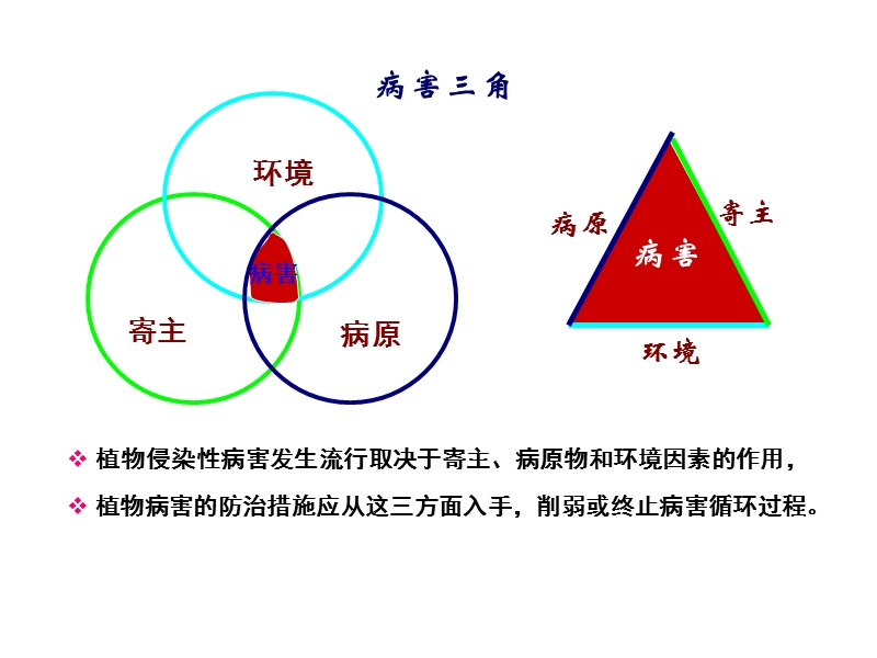 植物病害的防治.ppt_第3页