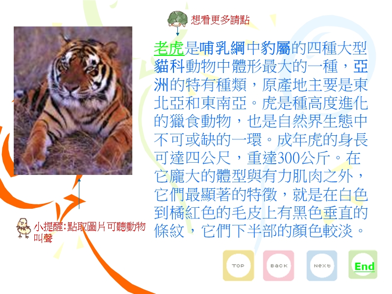 旧世界猴和猿.ppt_第2页