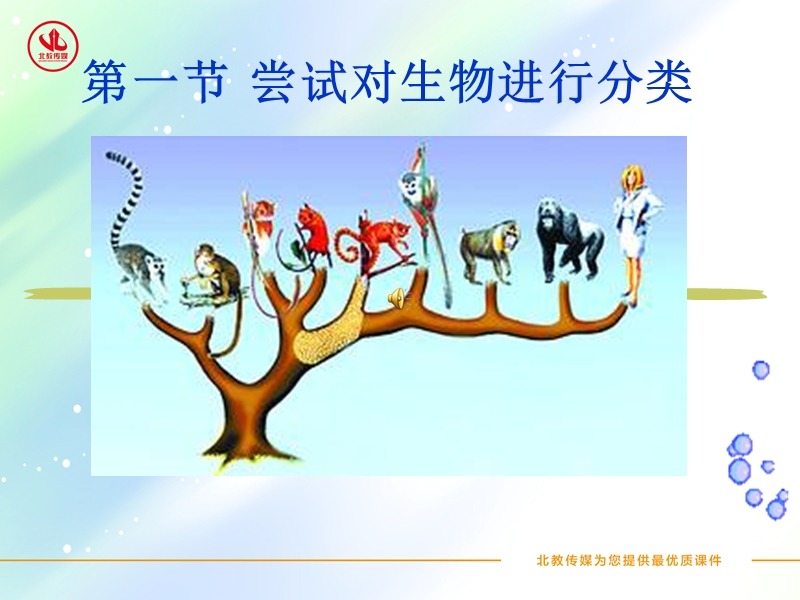 蕨类植物-跨学网.ppt_第2页