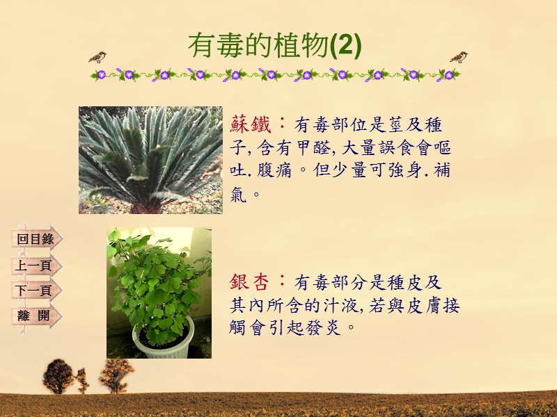 认识有毒的植物.ppt_第3页