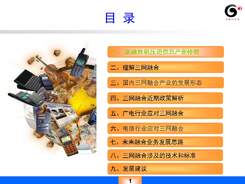 国内三网融合产业发展研究报告.ppt_第2页