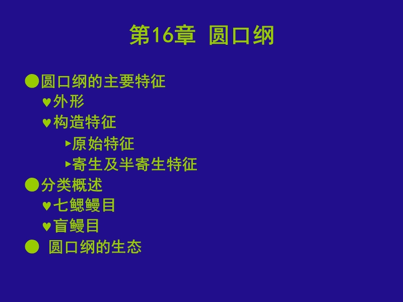 七鳃鳗1外形.ppt_第1页