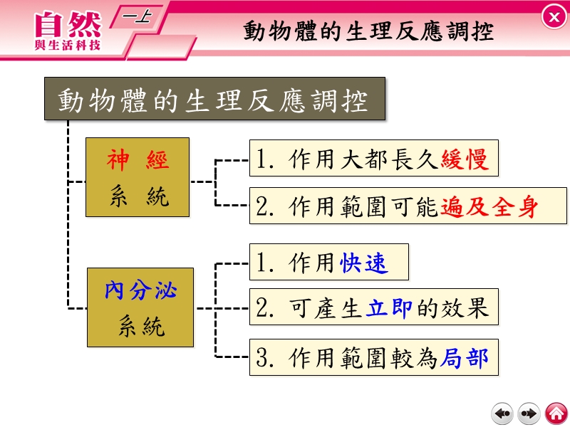 内分泌系统的运作.ppt_第3页