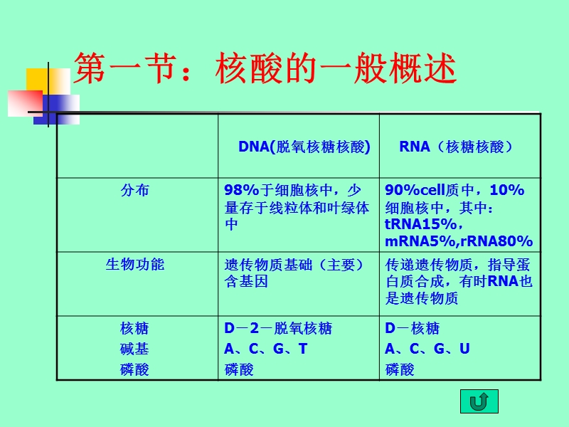 核酸 课件.ppt_第2页