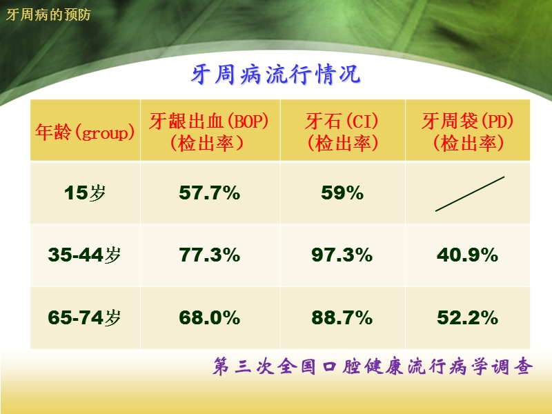 牙周病预防及刷牙.ppt_第2页