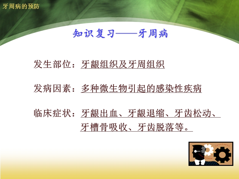 牙周病预防及刷牙.ppt_第3页