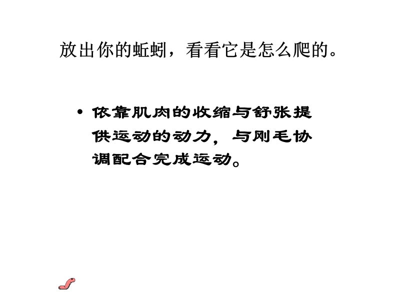 观察蚯蚓.ppt_第3页