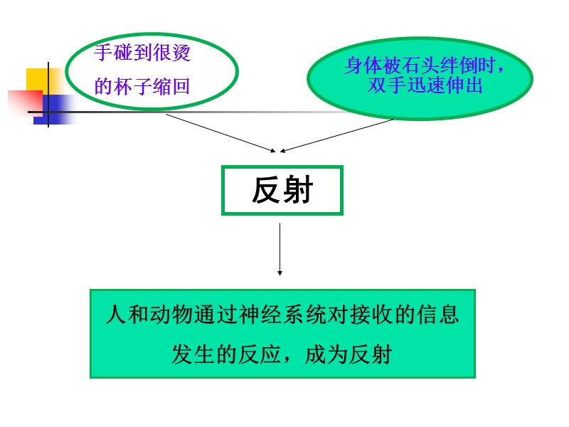 条件反射.ppt_第2页