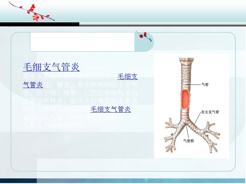 毛细支气管炎的护理查房.ppt_第2页