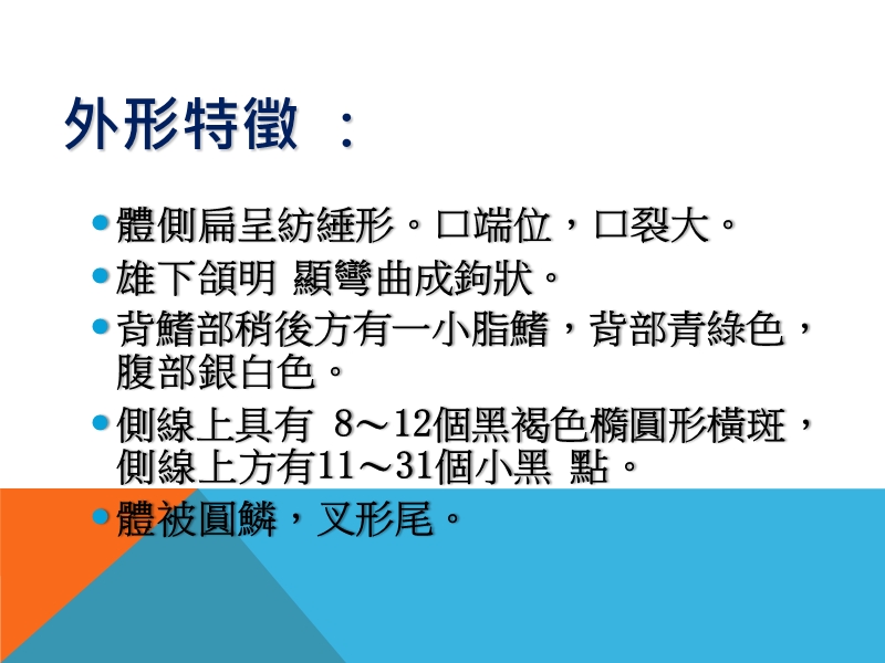 台灣國寶.ppt_第3页