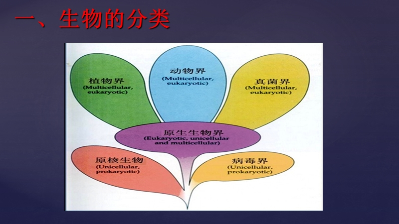 生物体的分类和植物体的营养器官.ppt_第2页