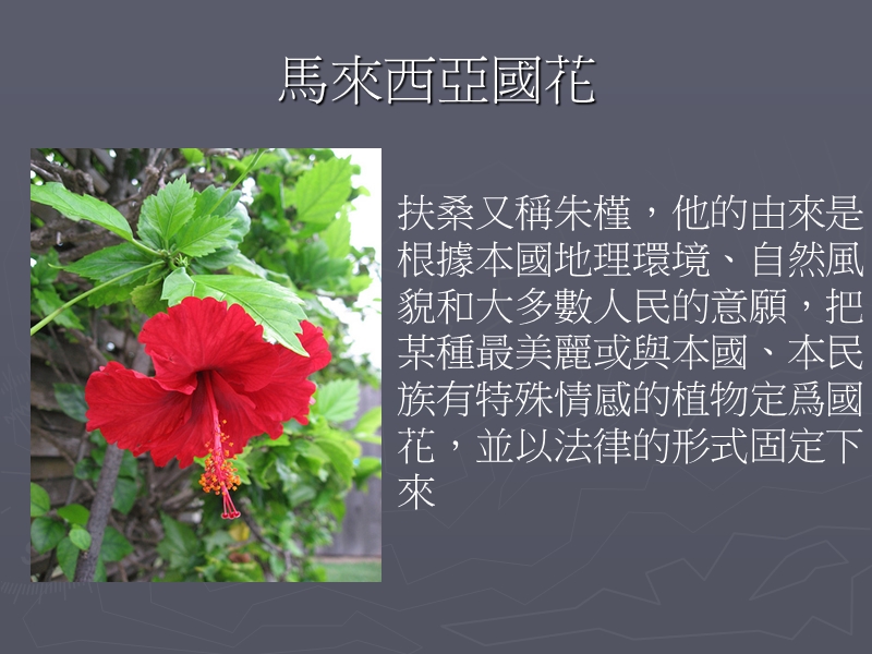 国家名称.ppt_第3页