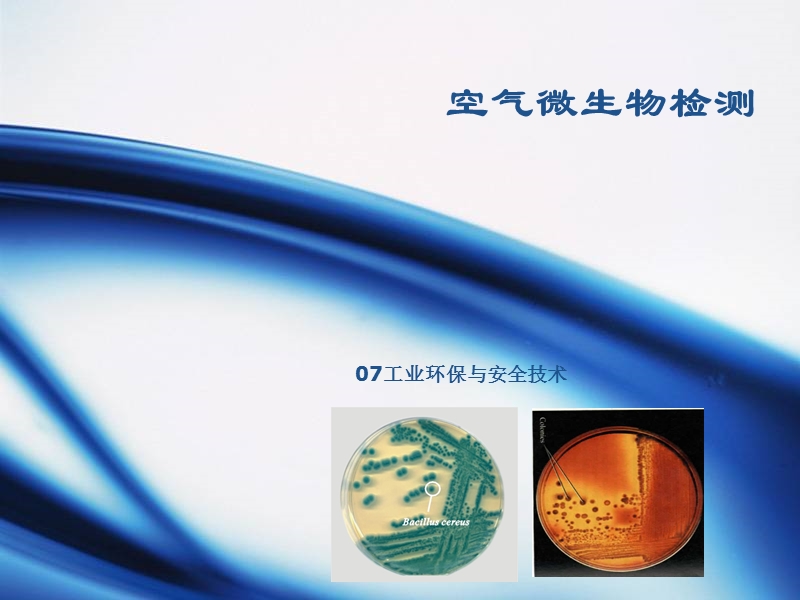 空气微生物的检测点数.ppt_第1页